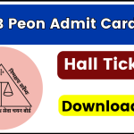 DSSSB Peon Admit Card 2024, dsssbonline.nic.in Hall Ticket, Exam Date & Pattern