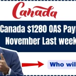 Canada $1280 OAS Payment in November Last week 2024: Who will get it? Check Payment Date