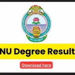 ANU Degree Results 2024 [OUT]: 1st, 3rd, 5th UG/PG Semester Exam Result