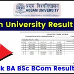 Assam University Result 2024 (Out) @aus.ac.in: Check BA, B.Com, B.Sc Semester Exam Online Results