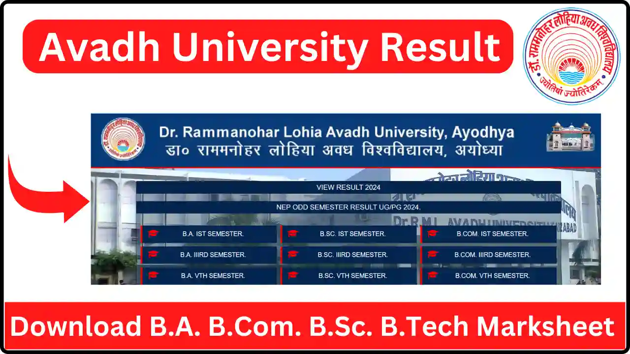 Avadh University Result 2024 (Released); How to Check RMALU B.A. B.Com. B.Sc B.Tech Marksheet?