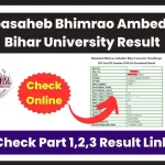 Babasaheb Bhimrao Ambedkar Bihar University Result 2024 (Declared) – Check Part 1,2,3 Result