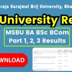 Brij University Result 2024 (Declared) - Check MSBU BA BSc BCom Part 1, 2, 3 Results @ msbrijuniversity.ac.in