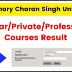 CCSU Result 2024 (Announced) at ccsuniversity.ac.in- Check UG/PG Odd/Even Semester Exam Results