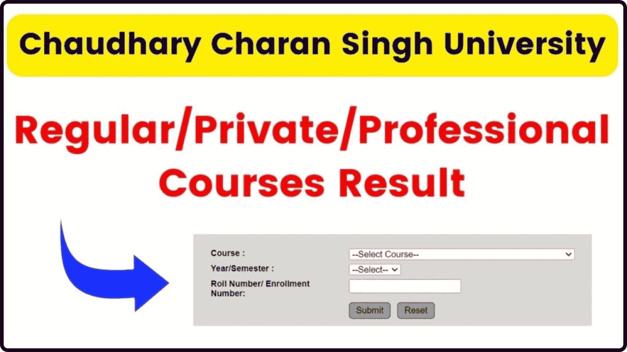 CCSU Result 2024 (Announced) at ccsuniversity.ac.in- Check UG/PG Odd/Even Semester Exam Results