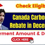 Canada Carbon Tax Rebate in December 2024