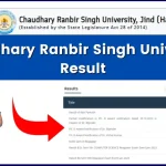 Chaudhary Ranbir Singh University Result 2024 - Download CRSU Result @crsu.ac.in