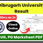 Dibrugarh University Result 2024 Announced at dibru.ac.in; Download UG, PG Marksheet PDF