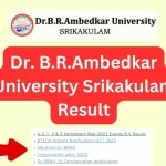 Dr. B.R.Ambedkar University Srikakulam Result 2024; Latest BRAU UG/PG Exams Result