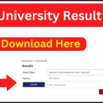 KUK Result 2024 (OUT) UG/PG Courses Kurukshetra University BA BSc BCom Result