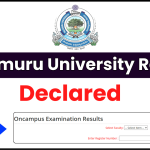 Palamuru University Result 2024 OUT; UG/PG 1st, 3rd, and 5th Semester