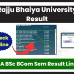 Rajju Bhaiya University Result 2024 (जारी) - रिजल्ट लिंक prsuniv.ac.in BA, B.Sc, B.Com Semester Exam Result