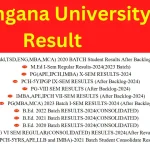 Telangana University Result 2024 [OUT] - Check TU Degree Semester Exam Result