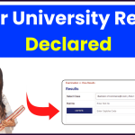 University Result 2024 (Declared) - Check BA, B.Sc. B.Com 1st, 2nd, 3rd year Result